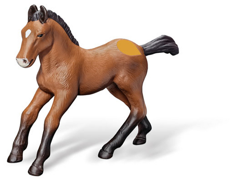 tiptoi&reg; Andalusier-Fohlen