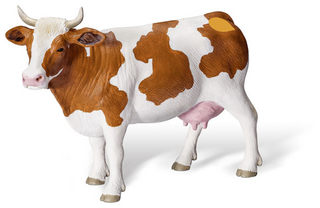 tiptoi® Fleckvieh-Kuh