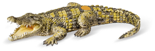 tiptoi® Krokodil