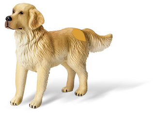tiptoi® Golden Retriever Rüde