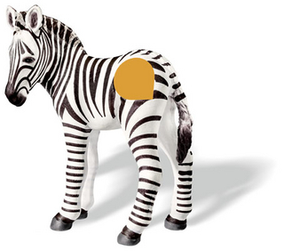 tiptoi® Zebrafohlen