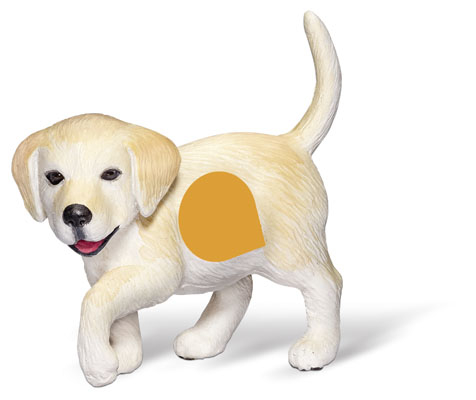 tiptoi&reg; Golden Retriever Welpe