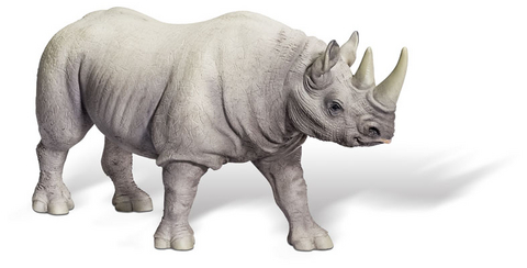 tiptoi&reg; Spitzmaulnashorn Bulle