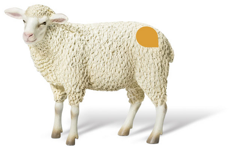 tiptoi&reg; Schaf