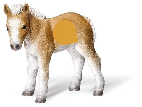 tiptoi&reg; Falabella Fohlen