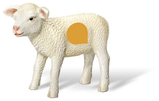 tiptoi® Lamm