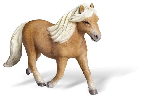 tiptoi&reg; Falabella-Stute