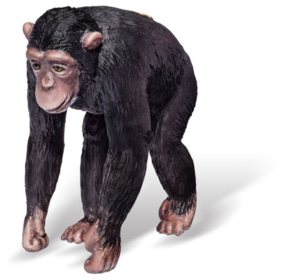 tiptoi&reg; Schimpanse