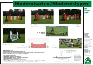 Hindernisarten/Hindernistypen