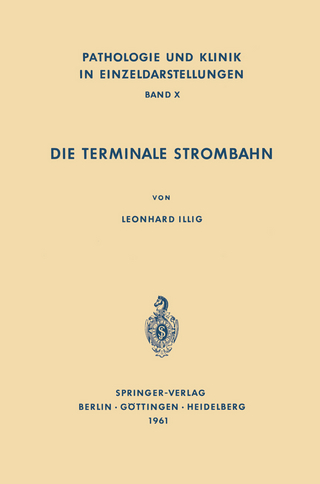Die Terminale Strombahn