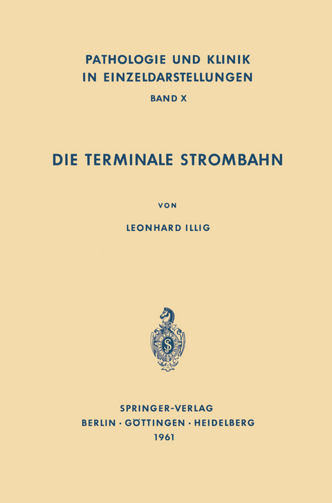 Die Terminale Strombahn - L. Illig
