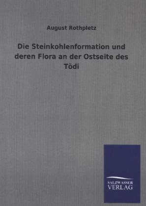 Die Steinkohlenformation und deren Flora an der Ostseite des TÃ¶di