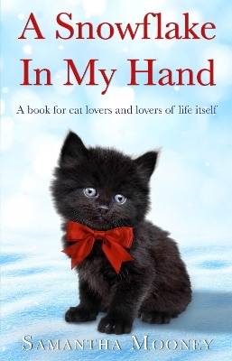 A Snowflake In My Hand - Samantha Mooney