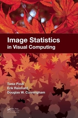 Image Statistics in Visual Computing - Tania Pouli, Erik Reinhard, Douglas W. Cunningham