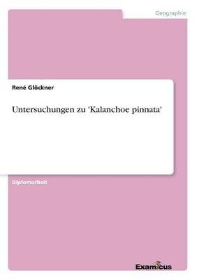 Untersuchungen zu Kalanchoe pinnata - Ren&eacute; Gl&ouml;ckner
