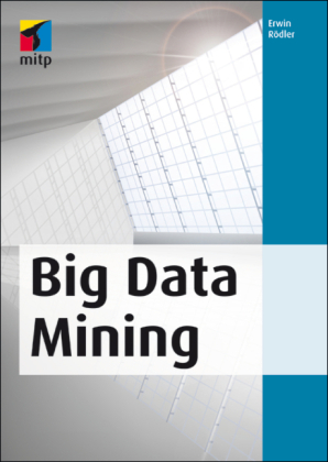 Big Data Mining