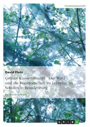 Gr&uuml;nes Klassenzimmer. Der Wald und die Forstwirtschaft im Lehrplan an Schulen in Brandenburg - David Plato
