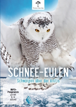 Schnee-Eulen - Schwingen &uuml;ber der Arktis, 1 DVD