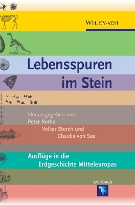 Lebensspuren im Stein - 