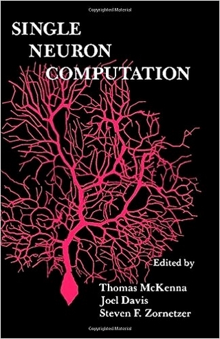 Single Neuron Computation
