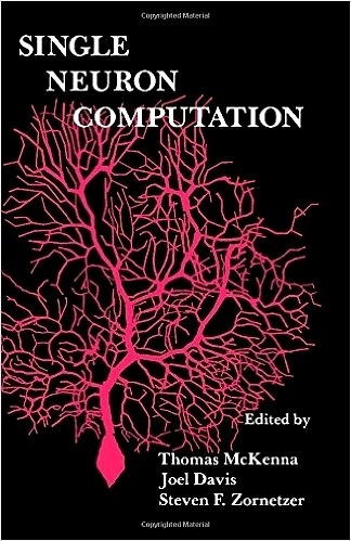 Single Neuron Computation - 