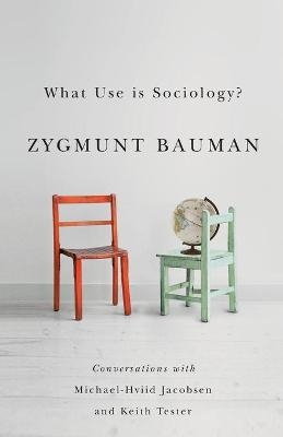 What Use is Sociology? - Zygmunt Bauman, Michael Hviid Jacobsen, Keith Tester