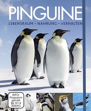 Pinguine, m. DVD