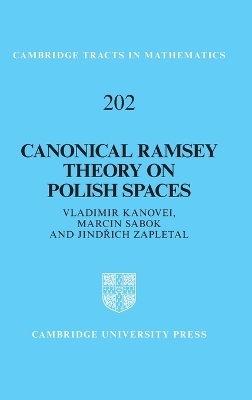 Canonical Ramsey Theory on Polish Spaces