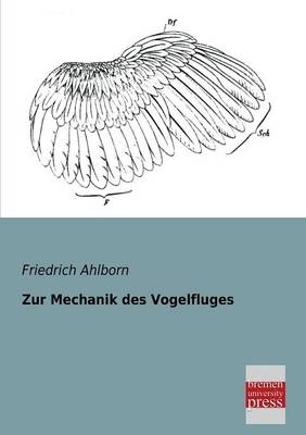 Zur Mechanik des Vogelfluges