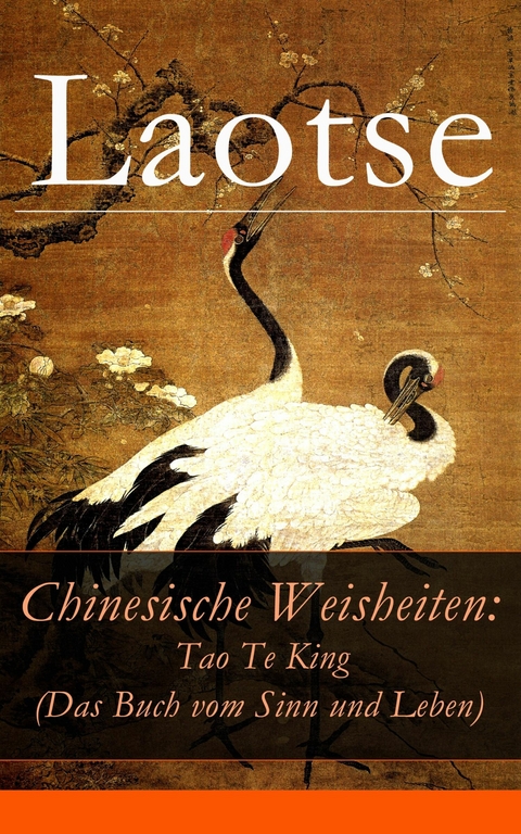 Chinesische Weisheiten: Tao Te King (Das Buch vom Sinn und Leben) -  Laotse