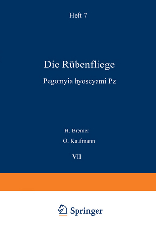 Die Rübenfliege