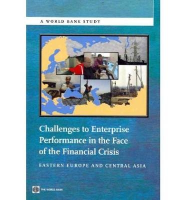 Challenges to Enterprise Performance in the Face of the Financial Crisis -  World Bank