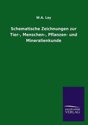 Schematische Zeichnungen zur Tier-, Menschen-, Pflanzen- und Mineralienkunde