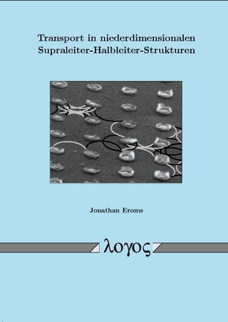 Transport in niederdimensionalen Supraleiter-Halbleiter-Strukturen
