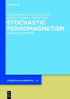 Stochastic Ferromagnetism