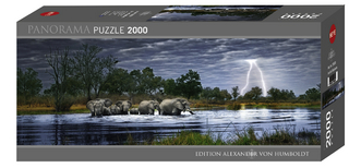 Herd of Elephants Puzzle