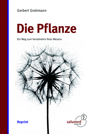 Die Pflanze