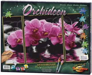 Orchideen