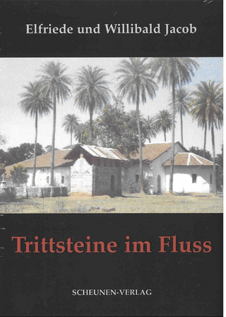 Trittsteine im Fluss