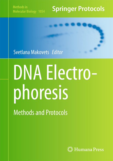 DNA Electrophoresis - 