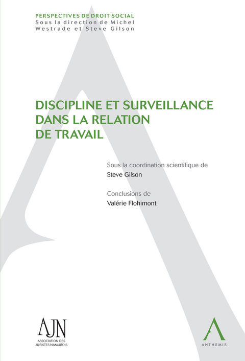 Discipline et surveillance dans la relation de travail - Steve Gilson (sous la coordination de),  Collectif
