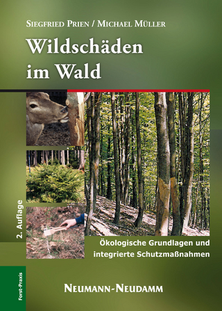 Wildschäden im Wald