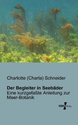 Der Begleiter in Seeb&auml;der - Charlotte Schneider