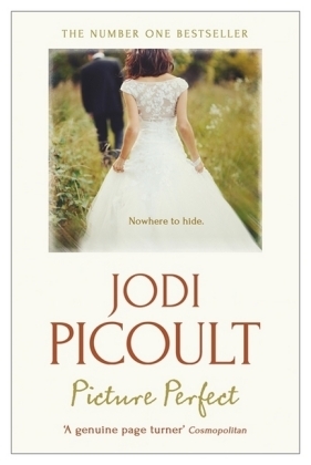 Picture Perfect - Jodi Picoult