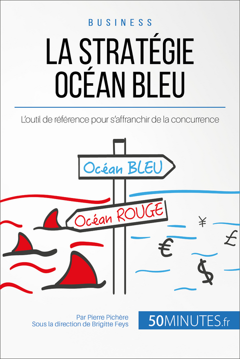 La Strat&eacute;gie Oc&eacute;an Bleu - Pierre Pich&egrave;re,  50Minutes