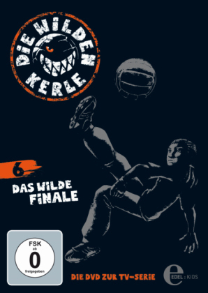 Die Wilden Kerle - Das Wilde Finale, 1 DVD. Tl.6