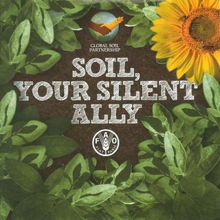 Soil, Your Silent Ally