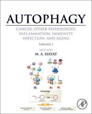 Autophagy: Cancer, Other Pathologies, Inflammation, Immunity, Infection, and Aging