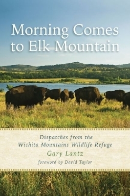 Morning Comes to Elk Mountain - Gary Lantz