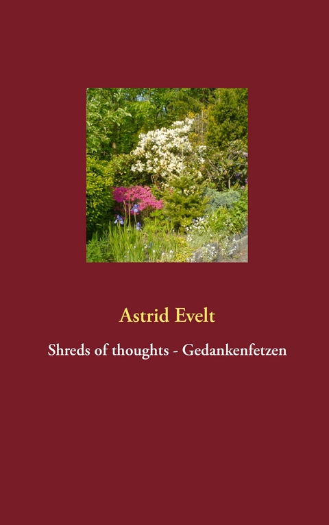 Shreds of thoughts - Gedankenfetzen - Astrid Evelt